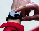 La versión beta 22.22 de Garmin ya está disponible para los smartwatches, incluido el Forerunner 955. (Fuente de la imagen: Garmin)