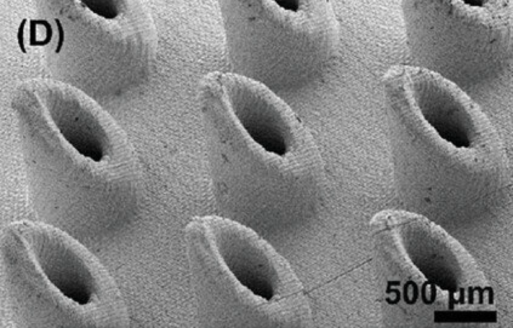 Imagen de microscopía electrónica de barrido (SEM) de MNA (matriz de microagujas) impresa en 3D. (Fuente de la imagen: Advanced Healthcare Materials)