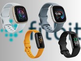 Los smartwatches y rastreadores de fitness de Fitbit suelen heredar la tecnología de los Pixel Watch de gama alta (Fuente de la imagen: Fitbit - editado)