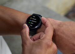 La versión 11.16 del software comienza como una actualización beta pública. (Fuente de la imagen: Garmin)