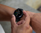 La versión 11.16 del software comienza como una actualización beta pública. (Fuente de la imagen: Garmin)