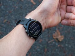 Garmin ha lanzado la versión de actualización 20.26 para el Forerunner 255. (Fuente de la imagen: Garmin)