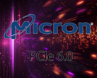 Micron es el primero en impulsar la adopción de PCIe 6.0 (Fuente de la imagen: Micron)