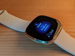 El Fitbit Sense y el Versa 3 pueden sobrecalentarse (Fuente de la imagen: Inge Schwabe)