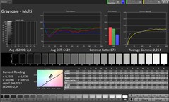 CalMAN Escala de grises