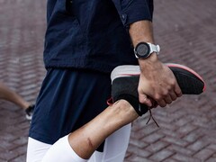 Garmin está desplegando la versión beta 20.15 para el reloj inteligente Forerunner 255. (Fuente de la imagen: Garmin)