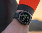 Se ha informado de que algunos smartwatches Garmin Fenix 8 tienen problemas relacionados con el agua fría. (Fuente de la imagen: Garmin)