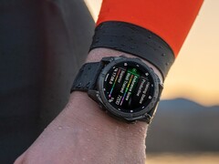 Se ha informado de que algunos smartwatches Garmin Fenix 8 tienen problemas relacionados con el agua fría. (Fuente de la imagen: Garmin)