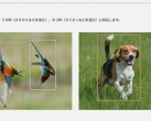 Estas dos fotos, entre otras de la página de producto de la Lumix S9, iniciaron la polémica (Fuente de la imagen: Panasonic)