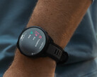 La última actualización del Forerunner de Garmin está disponible en todos los modelos 55 y 65. (Fuente de la imagen: Garmin)