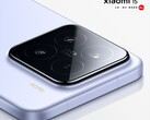 El Xiaomi 15 tiene una pantalla de 6,36 pulgadas como su predecesor. (Fuente de la imagen: Xiaomi)