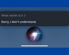 Parece que Siri tiene dificultades para responder a preguntas sencillas como "¿qué mes es?" (Fuente de la imagen: Guitar_Scary en Reddit) 