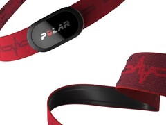 Polar parece estar trabajando en una nueva correa wearable similar a la H10 (arriba). (Fuente de la imagen: Polar)