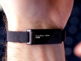 Actualmente, la Jaye Band está recaudando fondos en Kickstarter.