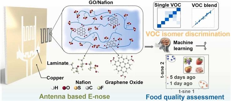 Resumen gráfico del sensor de antena única recubierto de óxido de grafeno. (Fuente de la imagen: ScienceDirect)