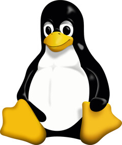 Llega el núcleo Linux 6.11, y trae soporte para nuevo hardware. (Imagen: Wikimedia Commons)