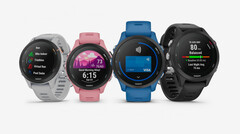 La serie Garmin Forerunner 255 está disponible en numerosas configuraciones, incluyendo dos tamaños. (Fuente de la imagen: Garmin)