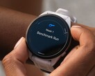 Varios smartwatches Garmin Forerunner están recibiendo la actualización beta de la versión 21.18. (Fuente de la imagen: Garmin)