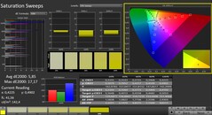 CalMAN: color saturation